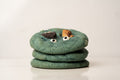 Cookie Monster Cookie - Cookie Monster - "C is For Cookie"